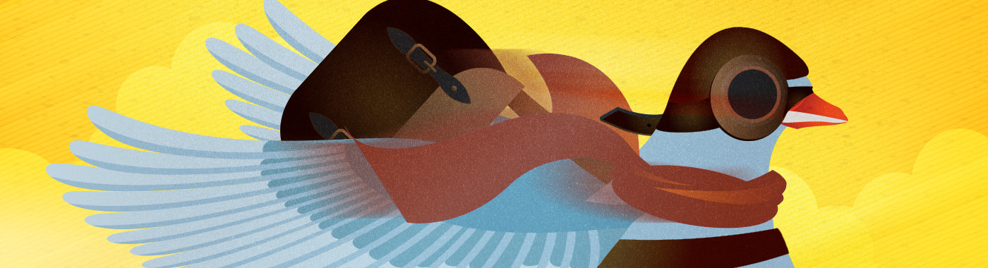 Private email hosting with a messenger bird image